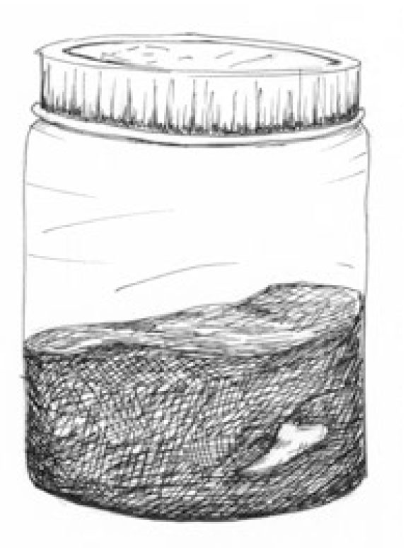Illustration of a jar holding a powdery substance